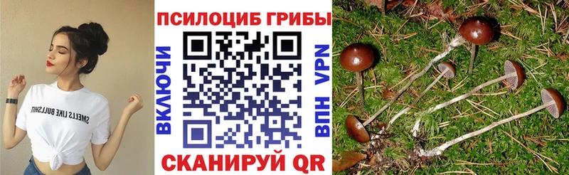 Псилоцибиновые грибы GOLDEN TEACHER  Куса 